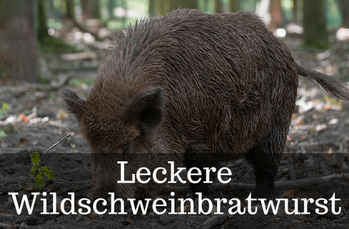 Wildschweinbratwurst selber hestellen und zubereiten